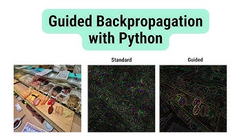 Implementing Guided Backpropagation from Scratch | PyTorch Hooks & Deep Learning Interpretability