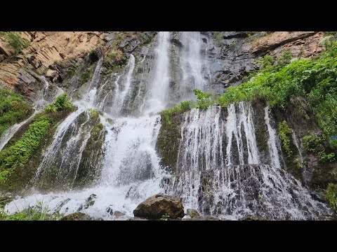 Men bir hamkasbga josuslik qildim