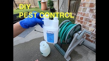 DIY Pest Control using Bayer Suspend SC Insecticide (Deltamethrin)