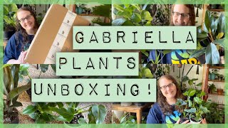 Gabriella Plants Unboxing and Review Online Plant Haul