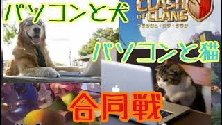 パソコンと猫＆犬合同戦【全壊必須のﾌﾟﾚｯｼｬｰ】＃1 screenshot 3