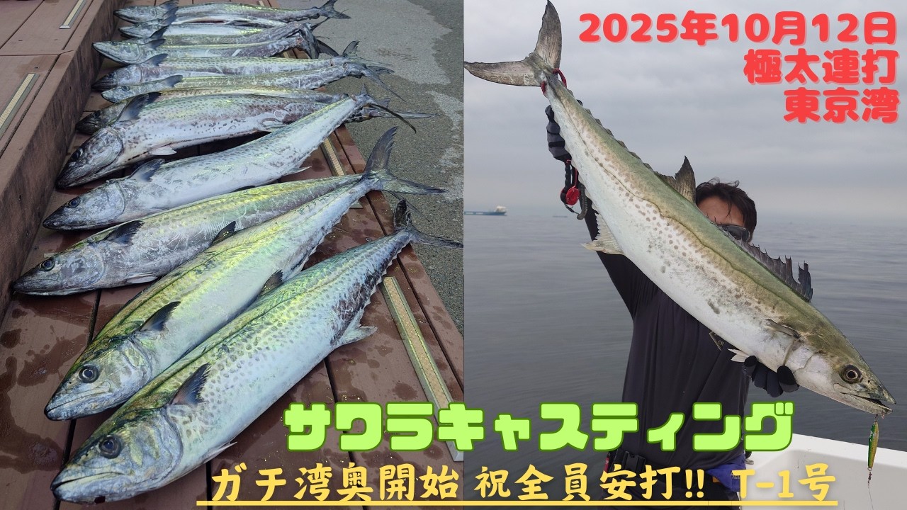 【東京湾サワラ】爆釣！極太デカいヤツ！ルアーも場所も時間も公開！3記録同時更新達成20251012
