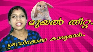 മുയലുകളുടെ തീറ്റയിൽ ശ്രദ്ധിക്കേണ്ട കാര്യങ്ങൾ | All About Rabbit Food screenshot 3