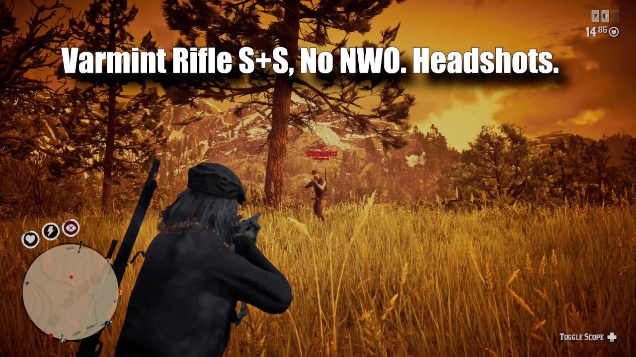 slow-and-steady-tier-3-damage-reduction-test-nwo-red-dead-redemption