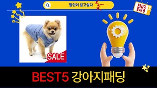 완벽한 겨울 강아지패딩 추천! 따뜻하고 귀여운 리뷰영상