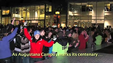 A Year of Research at the University of Alberta