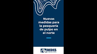 Nuevas medidas en la pesquería de pulpo  REDES SP by REDES SOSTENIBILIDAD PESQUERA 100 views 7 months ago 3 minutes, 37 seconds