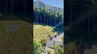 서울근교 글램핑장 추천 #노키즈존 #산속힐링 #카라반여행