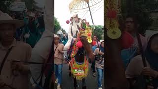 Kuda Renggong Hamori #saungbettafish #kudarenggong #videoshort #fypyoutube #viralvideo #tanjidor