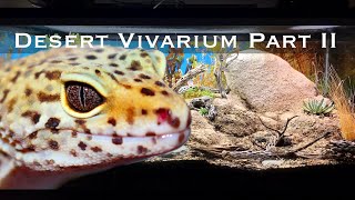 Bioactive and Enriched Desert Vivarium Part II: Leopard Gecko Setup