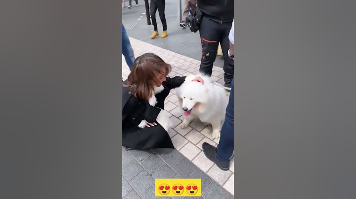 سارة تحب الكلاب 🐕😍 #غيث_مروان #سارة_عصام_الورع #غيث #ساره #غيث_سارة #غيث_مروان_سارة  #بيسان_سماعيل