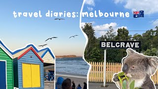 melbourne vlog  | kangaroo feeding, penguin parade island, bathing boxes and more!