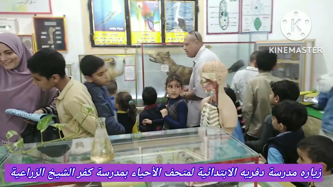 زياره مدرسة دفريه الابتدائية القديمه لمتحف الأحياء بمدرسة كفر الشيخ الزراعية الأحد ١٣_١١_٢٠٢٢م