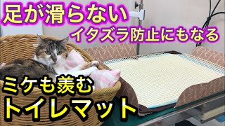 犬のイタズラ、ペットシーツをぐちゃぐちゃ防止、老犬の足が滑りにくくなるトイレマットをミケと一緒に試してみた！