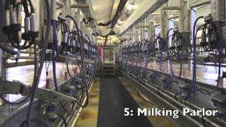 Dairy Barns PSU