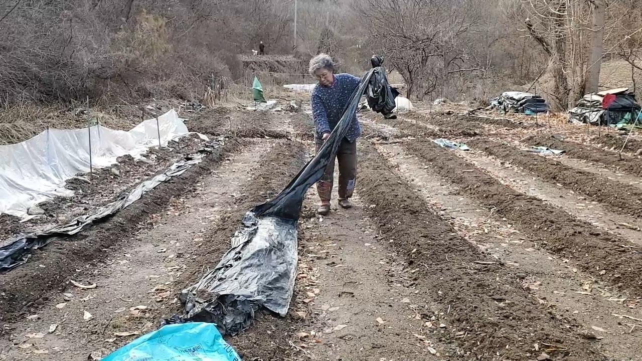 Наступила весна, и начинается новый год сельскохозяйственных работ (корейская сельская местность).