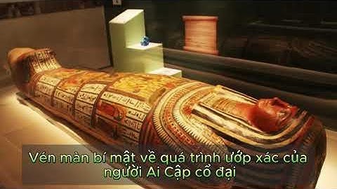 giải mã bí mật về quá trình ướp xác của người Ai Cập cổ đại