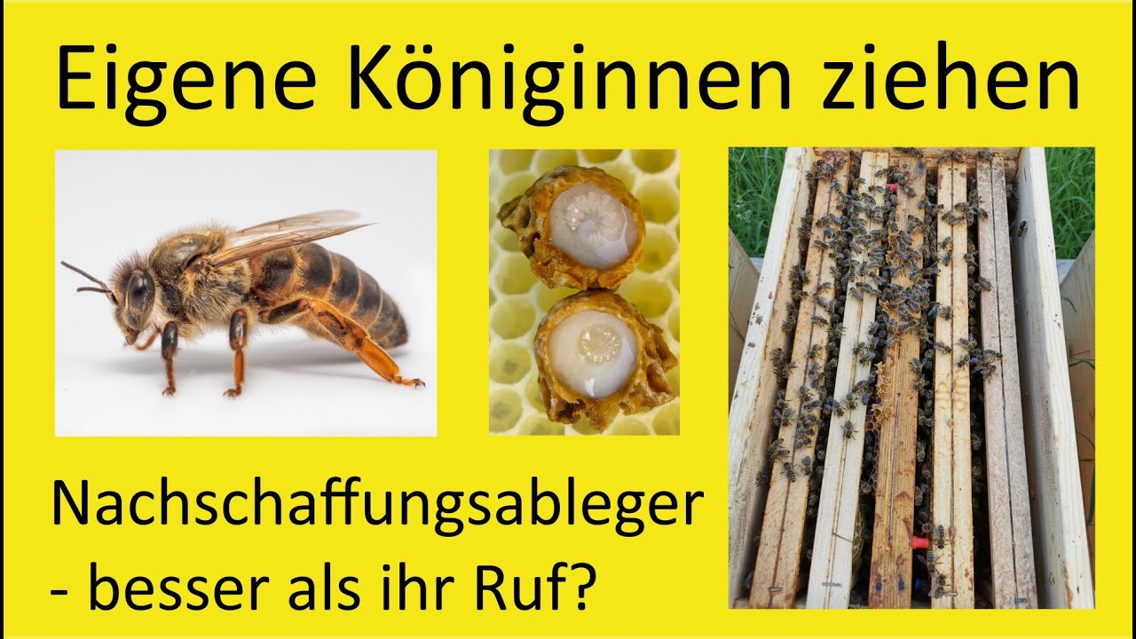 Brutableger, die selber nachziehen - besser als ihr Ruf?