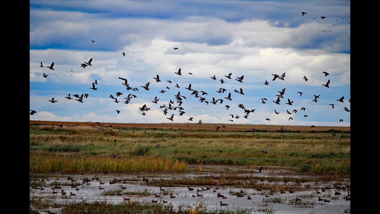 Going solo in South Dakota | WTVC