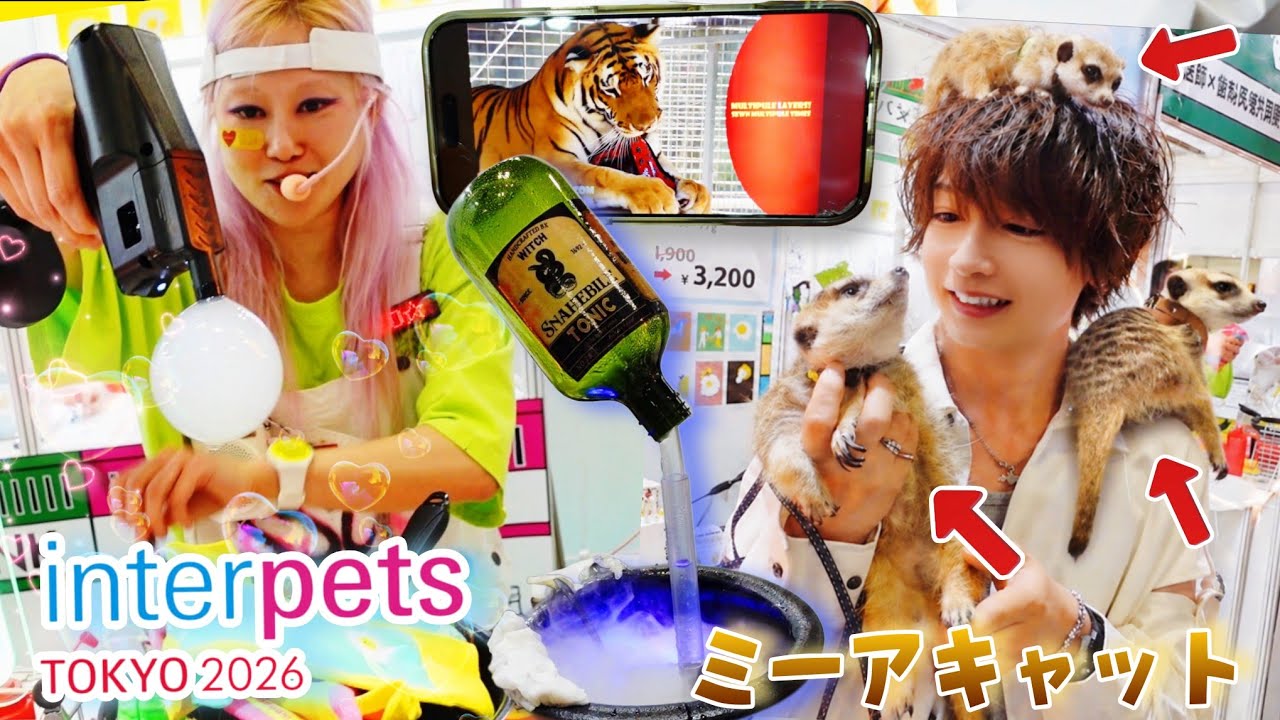 日本最大級ペットイベントで健康チェックをしたら・・・さらに今年は愉快な出展者が多数出現!!インターペット2026