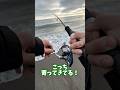 サーフで超絶美味なサーモン釣れた #shorts #釣り