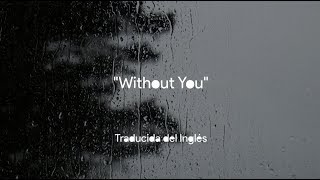 Without You (Subtitulada al Español) - David Guetta