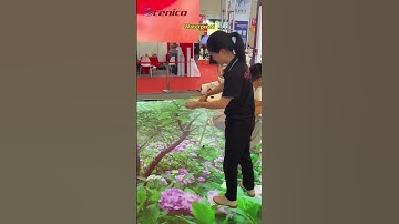 rolling led screen  #leddisplay #flexible #ledscreen