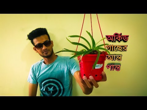 ভিডিও: কীভাবে ফ্যাব্রিক অর্কিড তৈরি করবেন