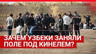 Узбеки застряли в Кинеле | 63.RU