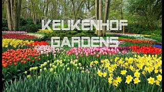 WORLD GARDENS SERIES  سلسلة حدائق العالم 1  KEUKENHOF GARDENS