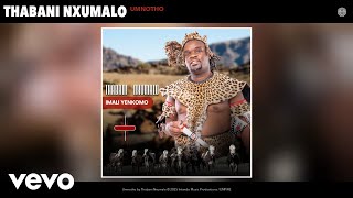 Thabani Nxumalo  Umnotho  