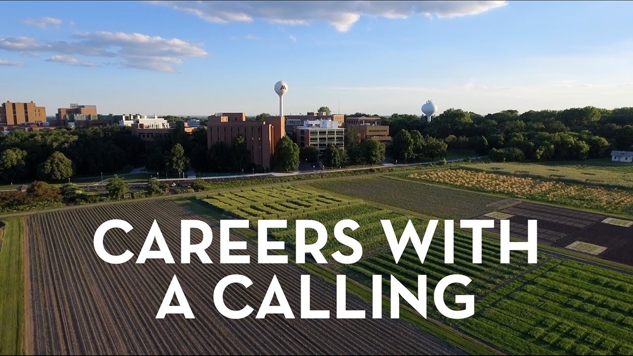 CFANS Insights Survey: Careers with a Calling - YouTube