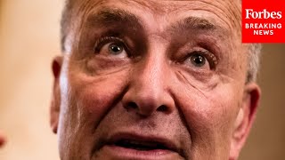 GOP Senator Quotes Schumer's Own Statements Defending Filibuster