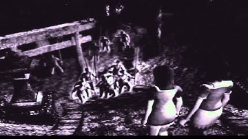 Fatal Frame 2: Crimson Butterfly- Abduction / Shrine Stairwell Cutscene