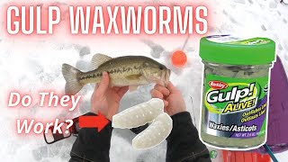 Gulp! Waxworms, Good or Gimmick? (Gulp vs Real Waxworms Battle with Surprise Comeback)