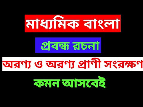 ভিডিও: প্রাণীদের জন্য কী প্রার্থনা করা সম্ভব: একটি গোঁড়া দৃষ্টিভঙ্গি