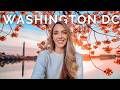 Ultimate 4-Day Washington DC Travel Guide ๐บ๐ธ | Must-See Landmarks & Insider Tips