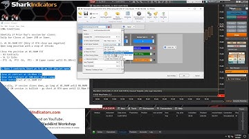 BlackBird - Entering and Exiting Positions at Specific Times of the Day - for NinjaTrader
