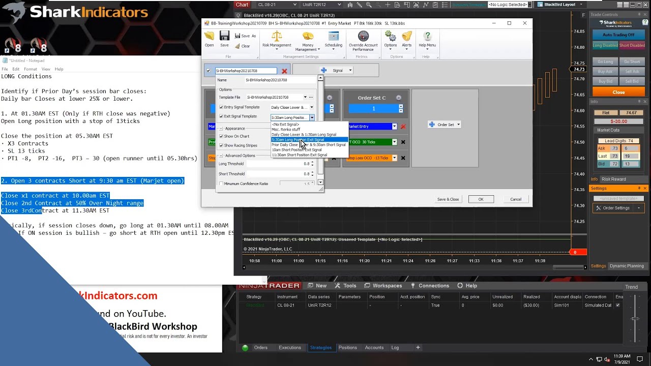 BlackBird - Entering and Exiting Positions at Specific Times of the Day -  for NinjaTrader