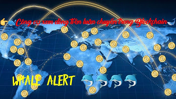 Cách theo dõi dòng tiền lớn di chuyển trong thị trường Crypto.