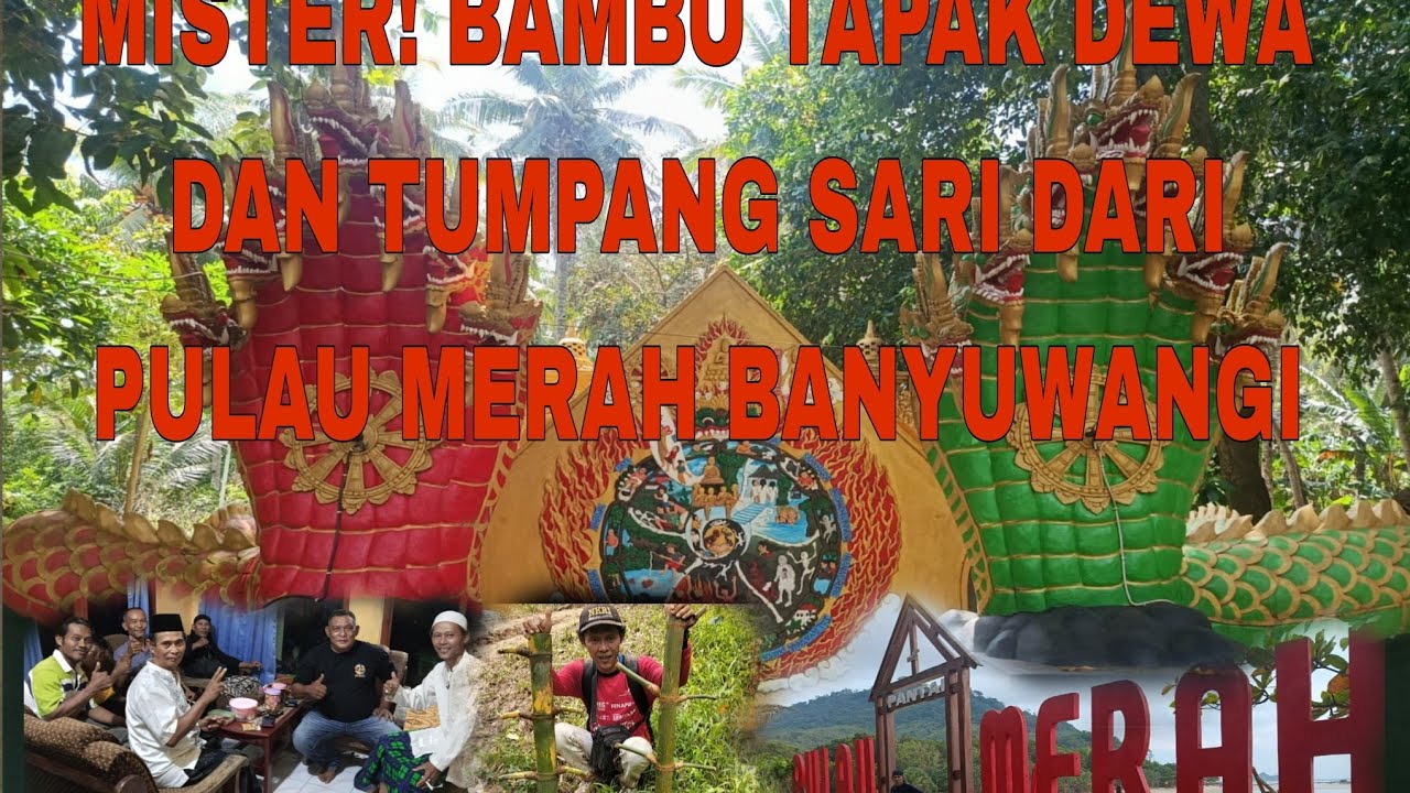 MISTERI BAMBU TAPAK DEWA DARI PULAU MERAH BUMI BANYUWANGI..!!