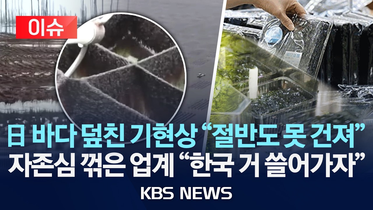 [이슈] 일본 바다 덮친 기현상에 김 생산 '반토막'...가격 급등에 관련 업계 '비상'/2026년 2월 6일(금)/KBS
