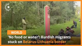 ‘No food or water’: Kurdish migrants stuck on Belarus-Lithuania border