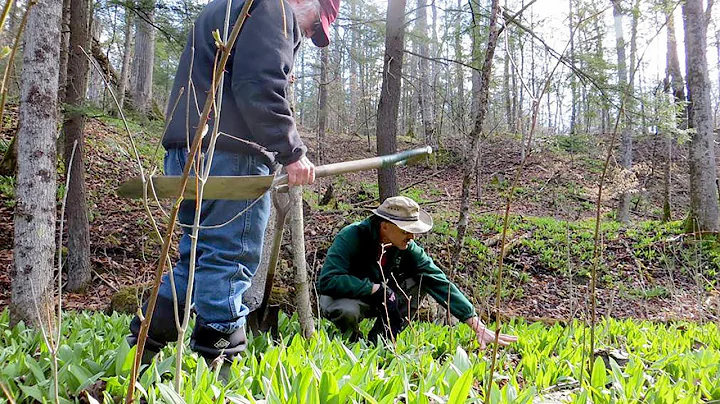 Sustainable Forest Farming with Dr. John Munsell