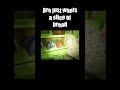 Crows are scary #shorts #cozygaming #horrorgaming #demo #gaming #gameshorts #game #letsplay