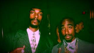 2pac and Snoop Dogg - If There’s A Cure (Slowed and Reverb)