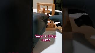 Wood & String Puzzle