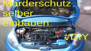 Marderabwehr ins Auto einbauen - Anleitung @