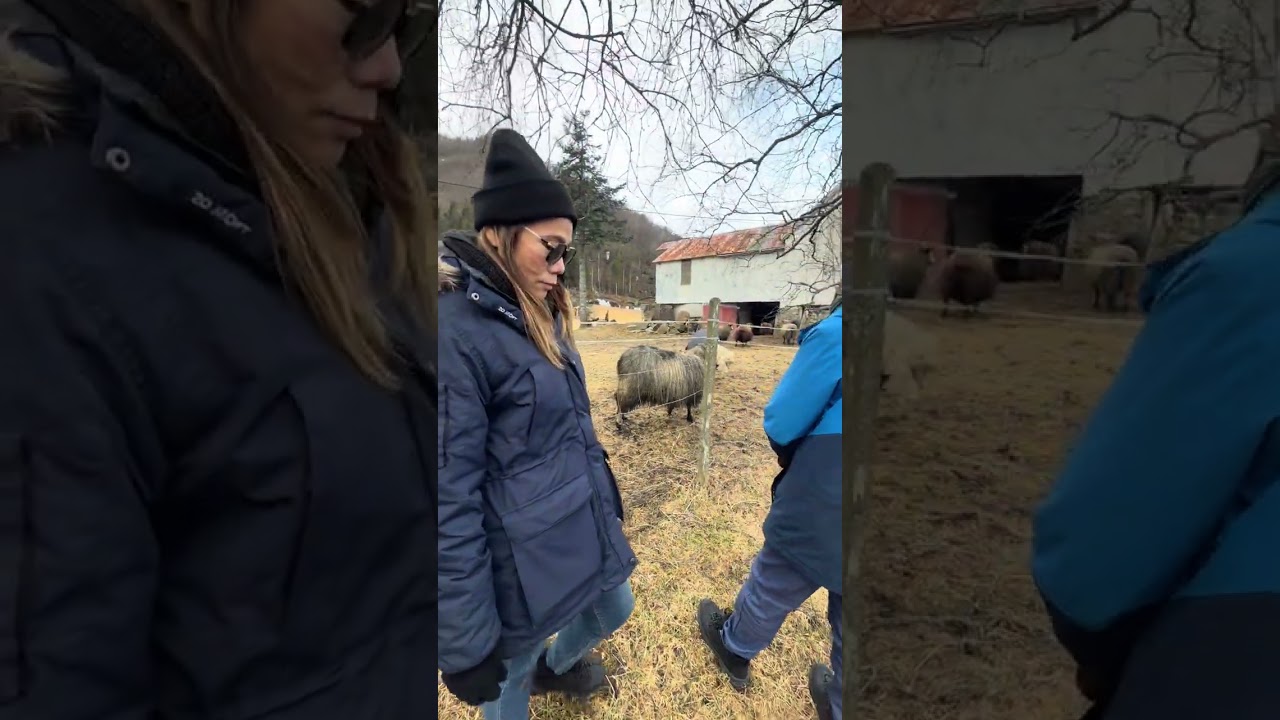 พาน้าเดินชมหมู่บ้านแฟด้า🏡🏠 #Feda#ครั้งแรก🇳🇴🇳🇴🏔️💪🏻Norway🇳🇴