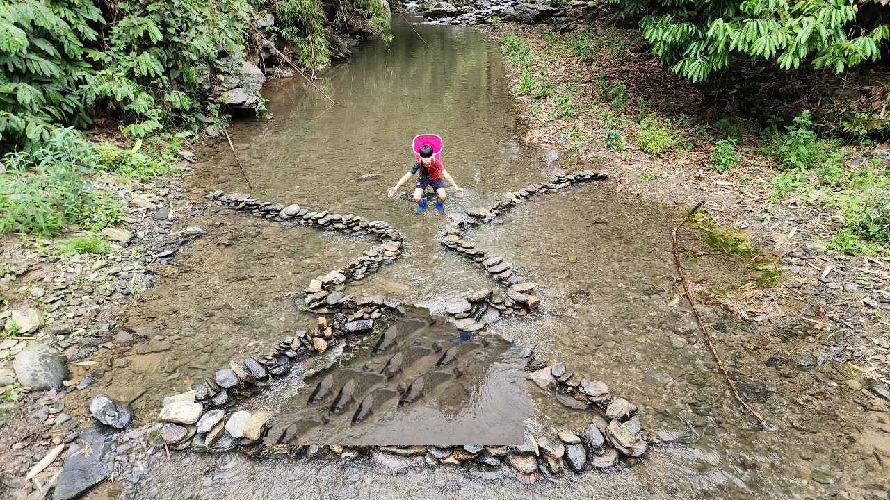 Orphan boy Duong's triangular fish trap skills unexpectedly yielded a ...